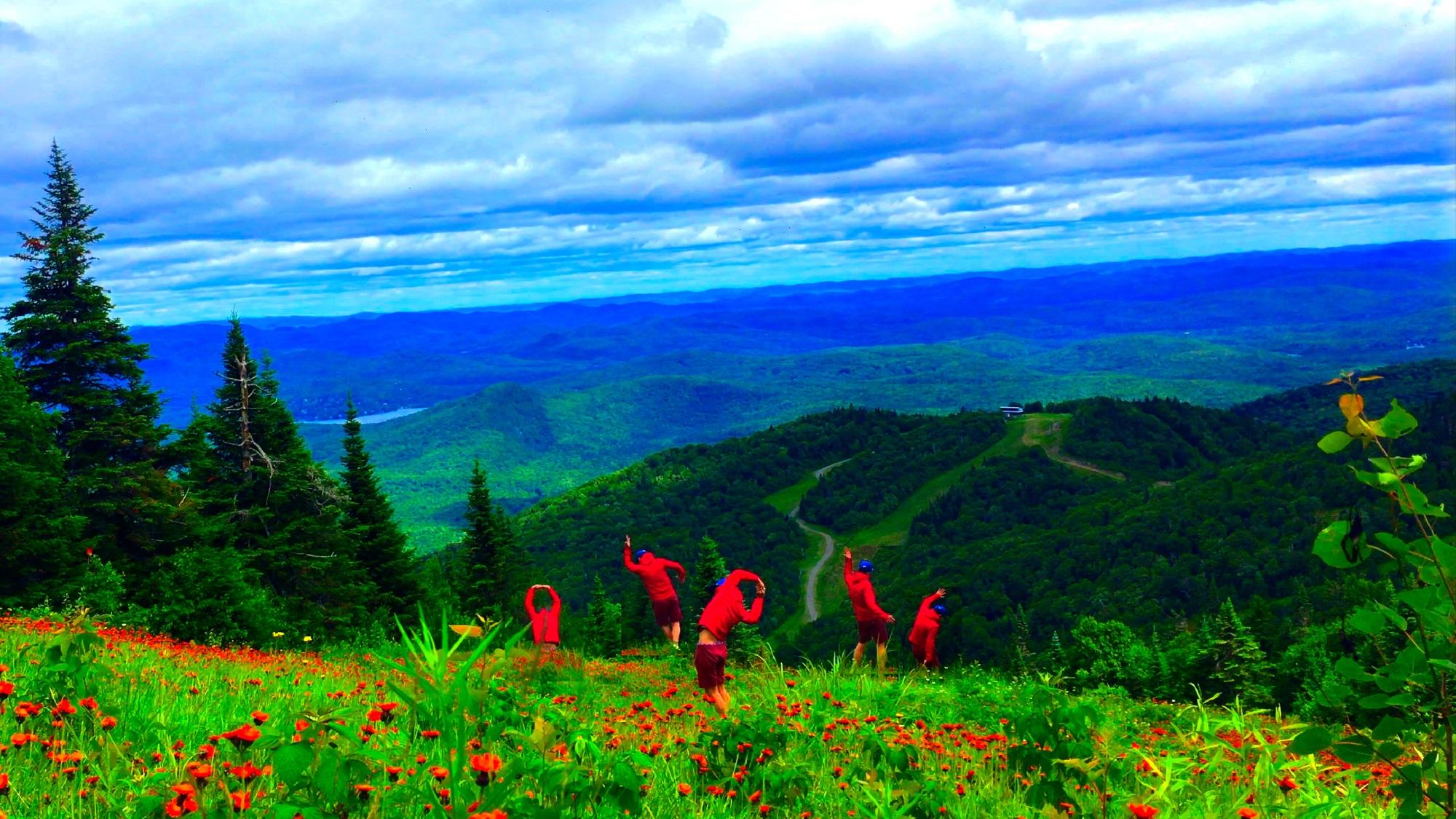 Du cinéma à la vidéo : la danse sort du cadre